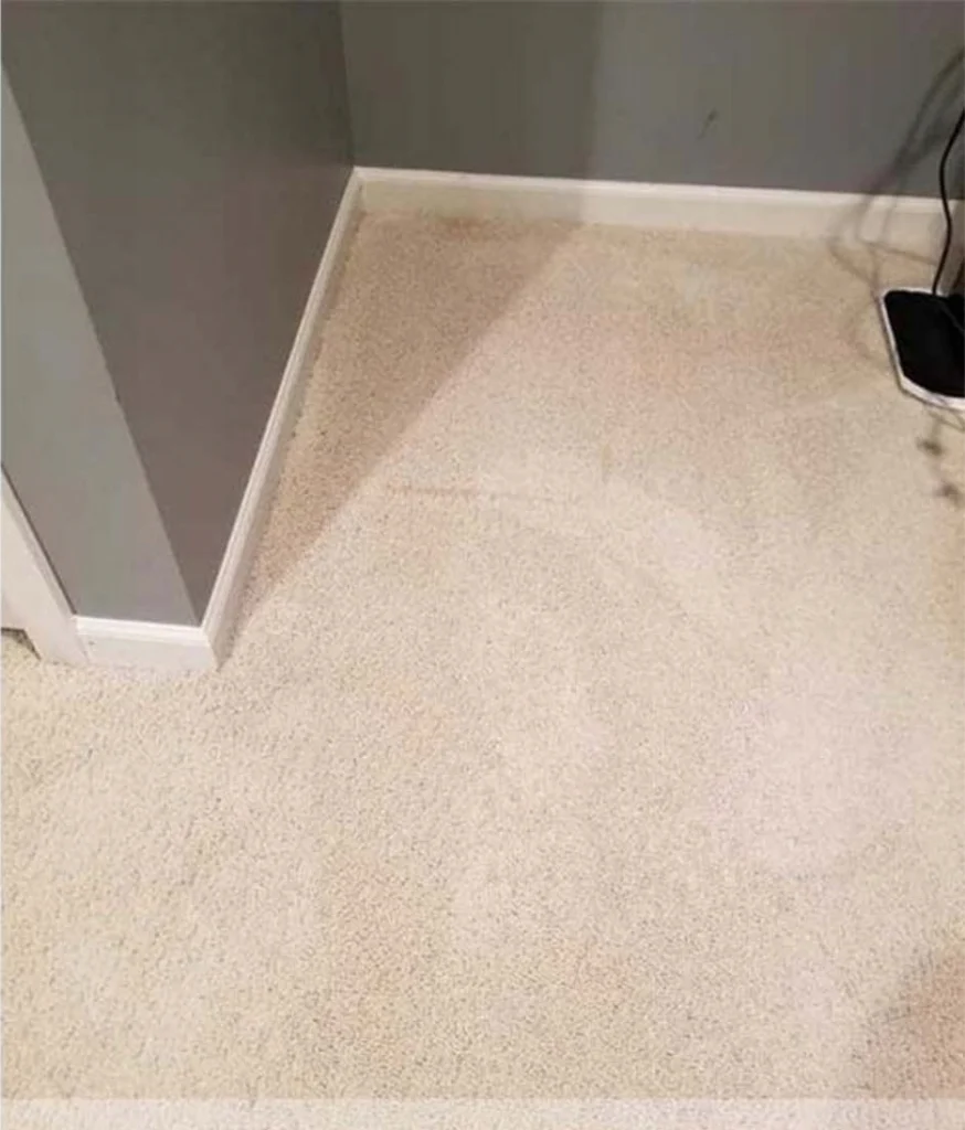 carpet cleaning
