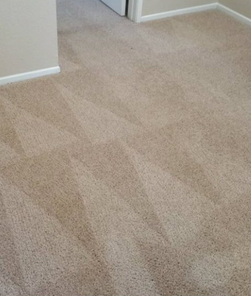deep carpet cleaning