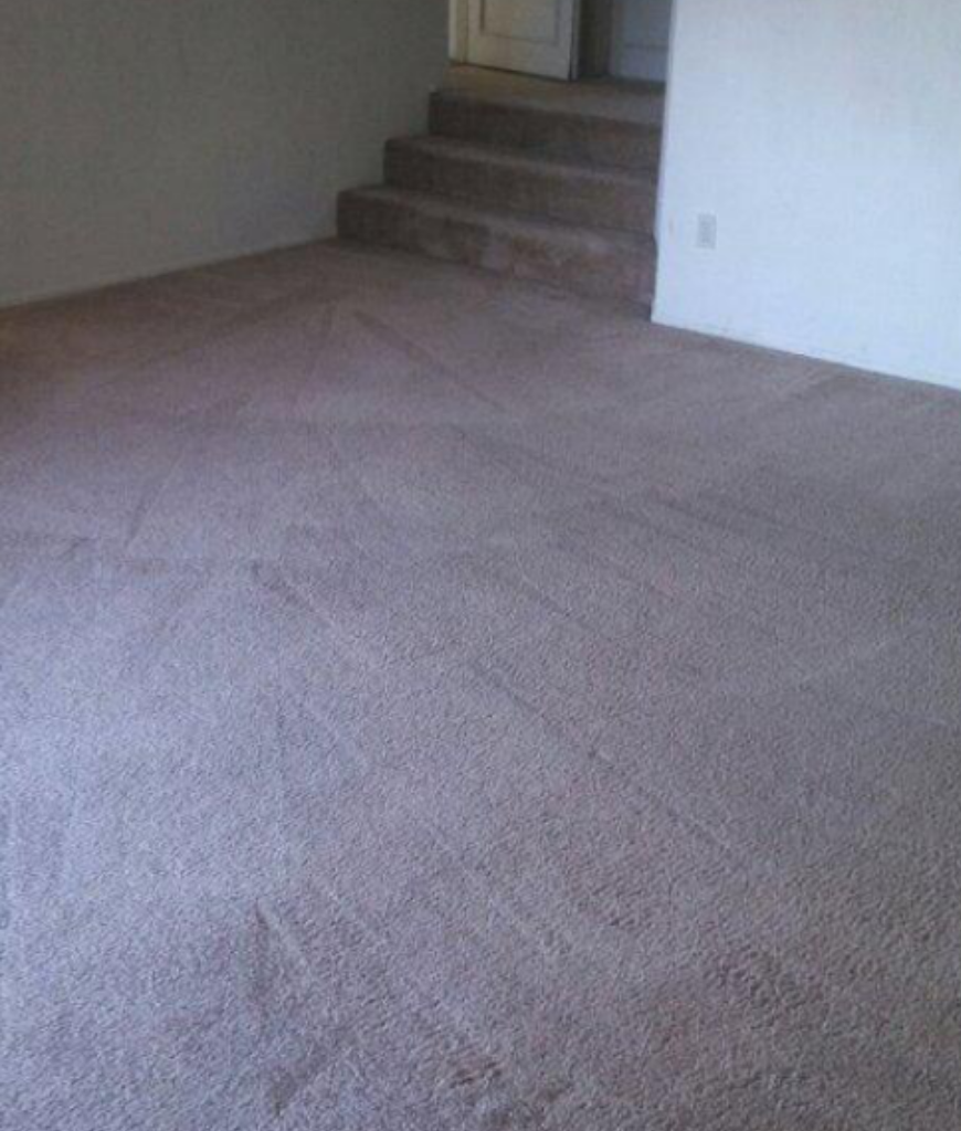 professional carpet cleaner