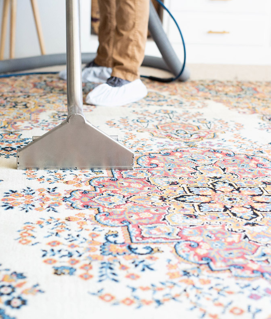 steam cleaning rug with specialized equipment