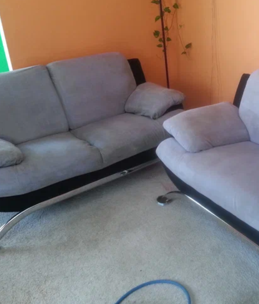 eco-friendly sofa cleaning with safe detergents